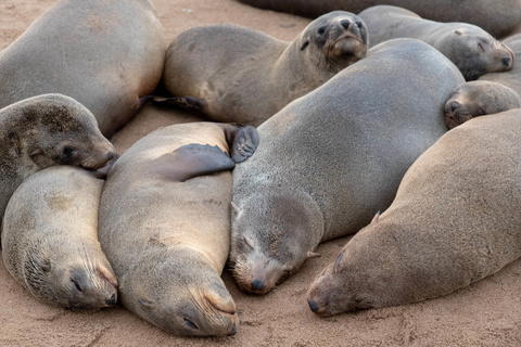 Twyfelfontein - Swakopmund