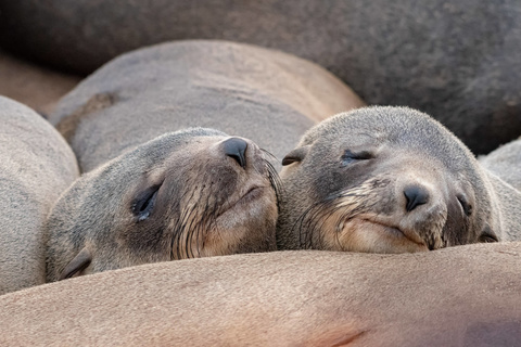 Swakopmund - Brandberg