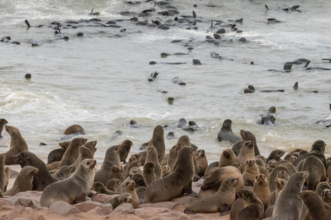 Brandberg - Swakopmund