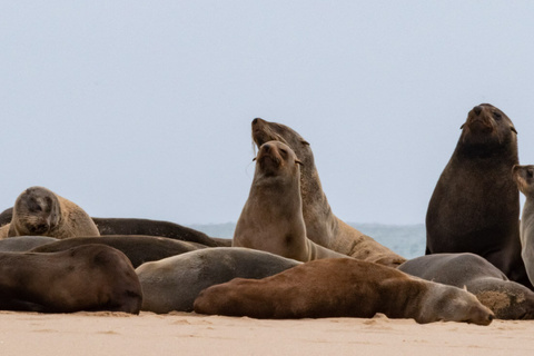 Swakopmund - Cap Cross - Twyfelfontein