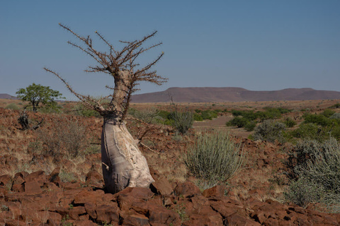 Etosha - Khowarib