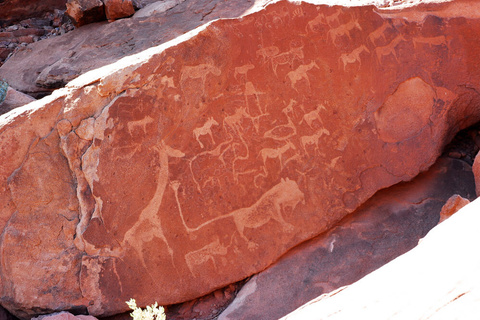 Brandberg - Twyfelfontein - Etosha