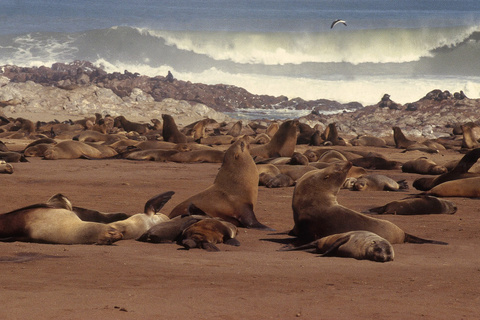 Swakopmund – Terrace Bay