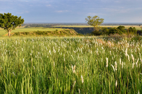 Parc National de Queen Elizabeth et chimpanzés de Kyambura