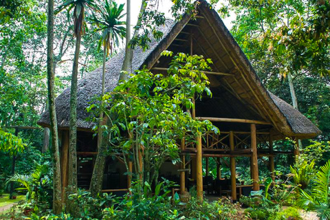 Kibale Forest Camp