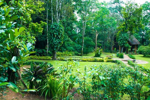 Kibale Forest Camp