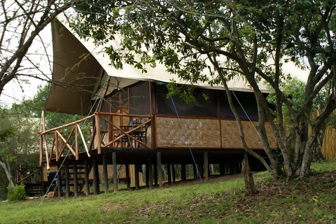 Queen Elisabeth bush lodge