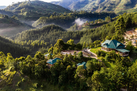 Forêt de Bwindi