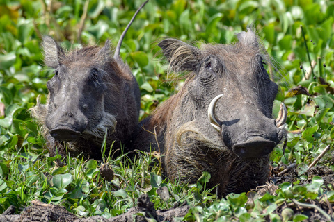 Parc National de Murchison
