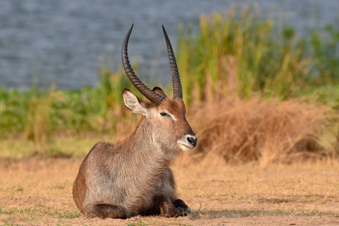 Parc National de Murchison