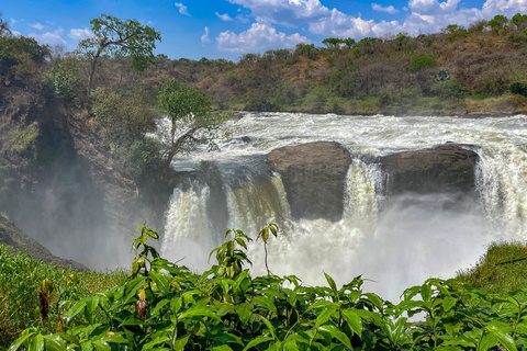 Sanctuaire de Ziwa - Parc national de Murchison