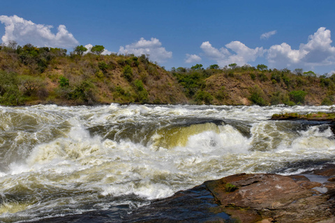Entebbe - Sanctuaire de Ziwa - Murchinson National Parc