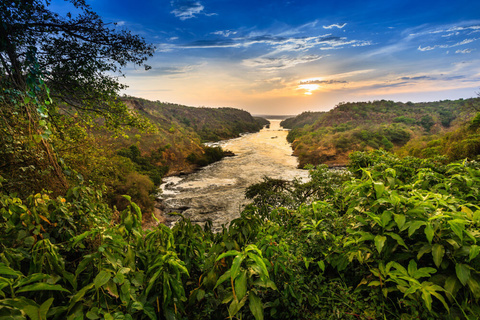 Sanctuaire de Ziwa - Parc national de Murchison