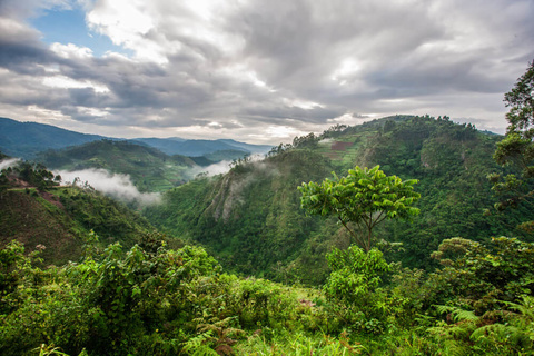 Sanctuaire de Ziwa - Parc national de Murchison