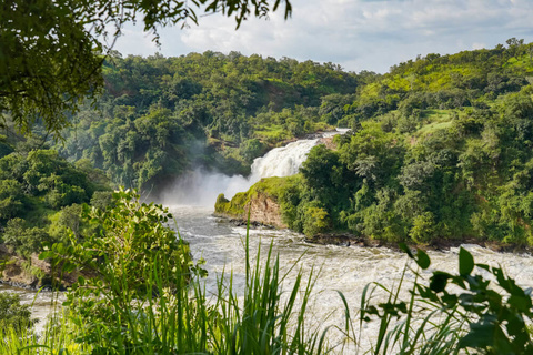 Parc National de Murchison.