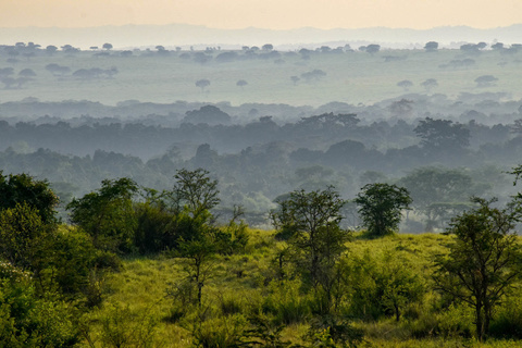 Parc National de Queen Elizabeth et chimpanzés de Kyambura