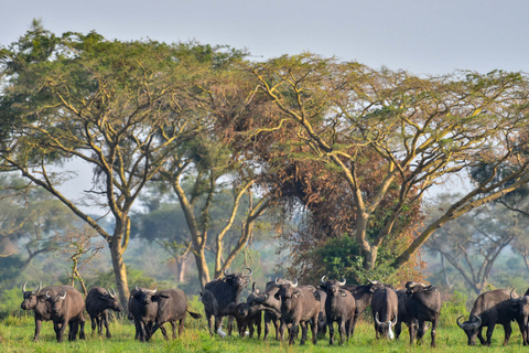 P. N de Queen Elizabeth - Secteur d'Ishasha