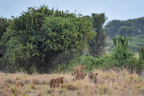 Parc National de Queen Elizabeth