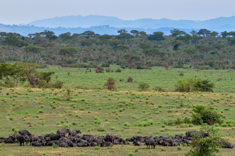 Parc National de Queen Elizabeth