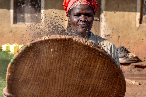 Entebbe - Parc de Kibale