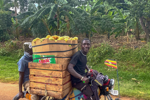 Lac Mburo - Entebbe - Vol pour l'Europe