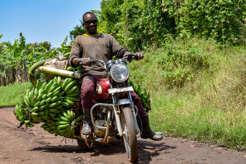 Lac Bunyonyi - Entebbe - Vol pour l'Europe