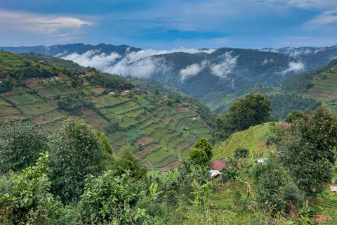 Lac Bunyonyi - Entebbe - Vol pour l'Europe