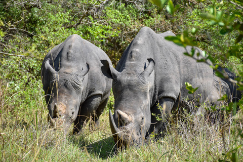 Entebbe - Kampala - Sanctuaire de Ziwa