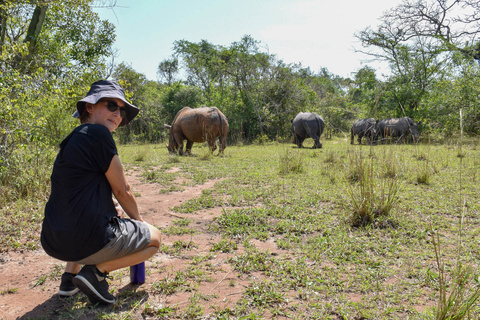 Entebbe - Sanctuaire de Ziwa - Murchinson National Parc