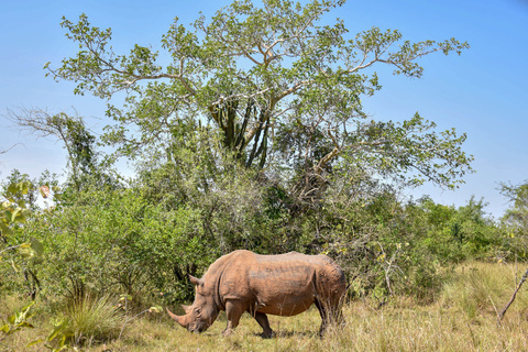 Entebbe - Kampala - Sanctuaire de Ziwa