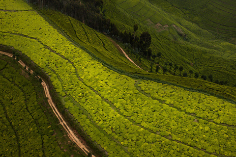 Le sentier Congo Nil