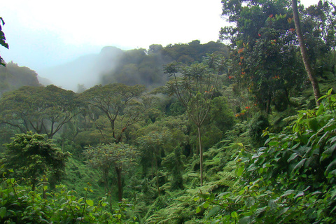 Akagera - Kigali - Huye -Nyungwe