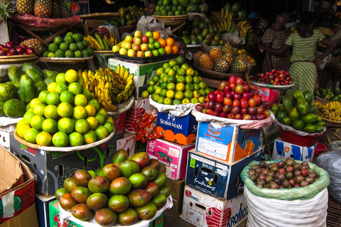 Parc des volcans - Kigali - vol retour