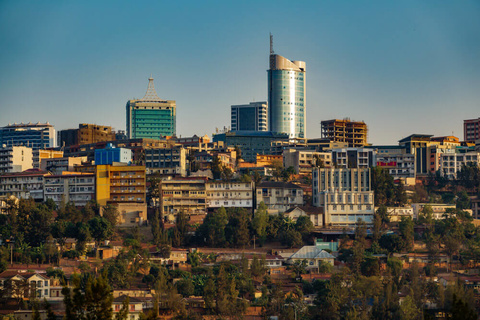 Singes dorés - Musanze - Kigali