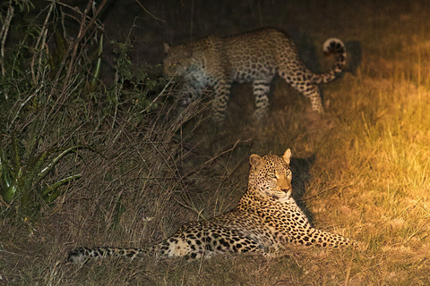 Kigali - Parc de l'Akagera