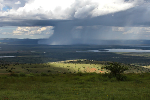 Kigali - Parc de l'Akagera