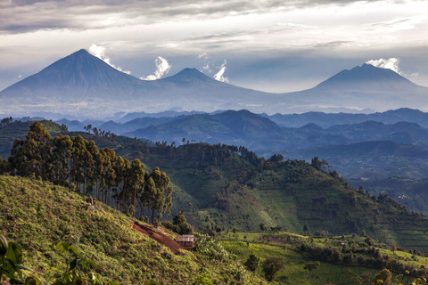 Congo Nil - Parc des Volcans