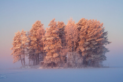 Camp du Lac en Laponie Suédoise