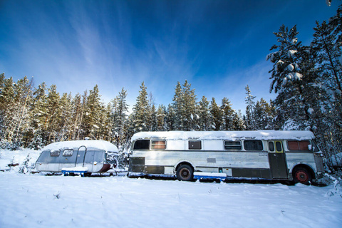 Magic Bus en Laponie Suédoise