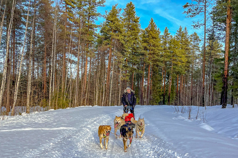Raid en chiens de traîneaux