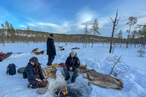 Retour du raid en chiens de traîneaux