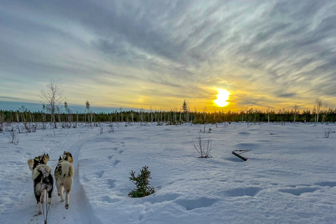 Raid en chiens de traîneaux