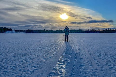 Cani-raquette dans la forêt et ski altaï