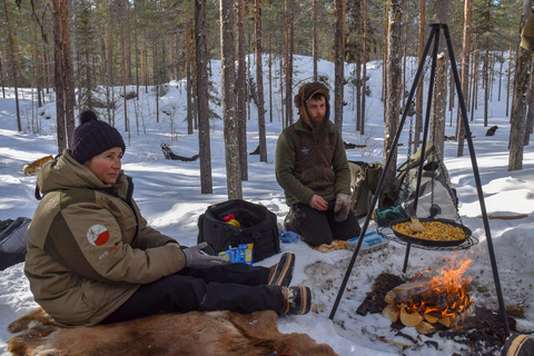 Raid en chiens de traîneaux