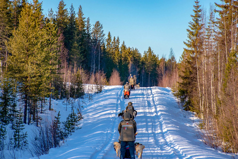 Raid en chiens de traîneaux