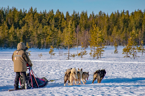 Raid en chiens de traîneaux