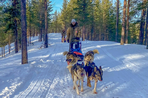 Retour du raid en chiens de traîneaux.