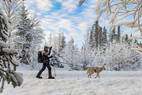 Cani-raquette dans la forêt