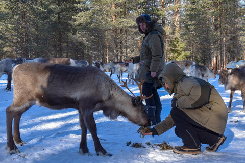 Ferme à rennes et après-midi trappeur
