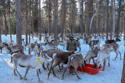 Ferme à rennes et après-midi trappeur